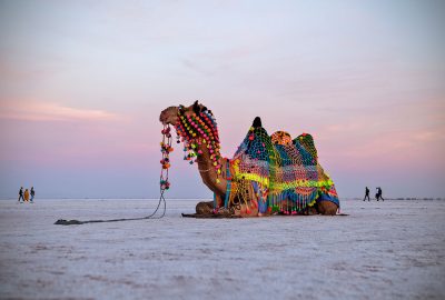 Great Rann Of Kutch (14)