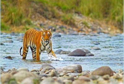 Jim-Corbett-national-park-name-change